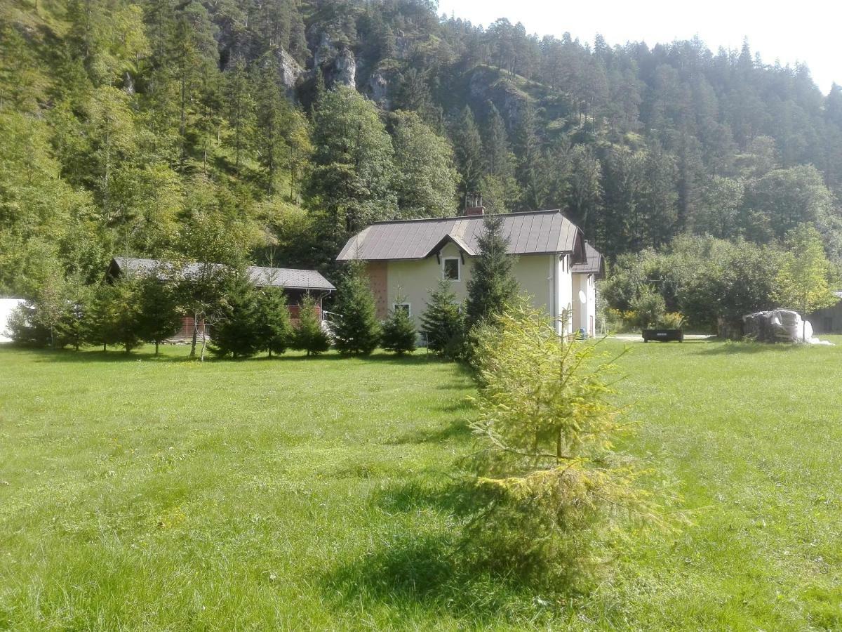 Penzion Black Sheeps Adventures Wildalpen Exterior foto